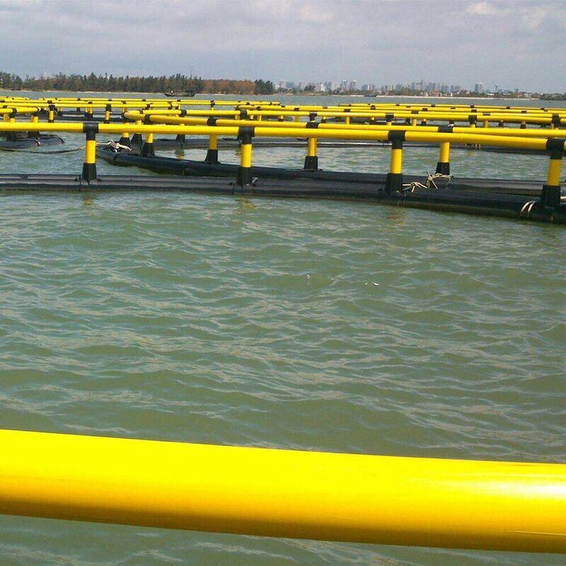 Custom HDPE Circular Fish Cage For Large Scale Marine Farm Project
