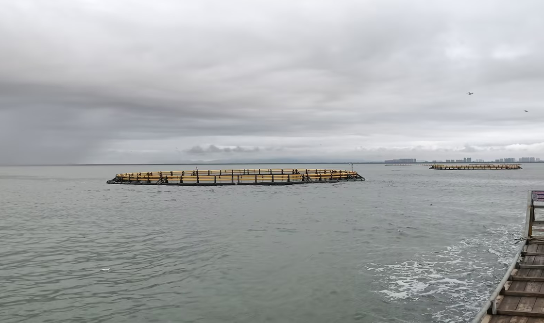 Wish higher farming output year by year? Our HDPE Fish Cages support efficient high-density culture