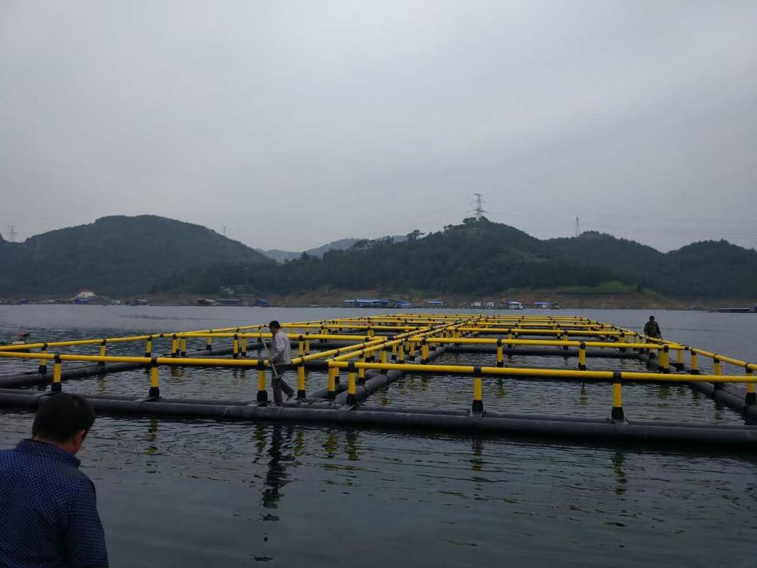 Suitable for 6–50m lakes & reservoirs, stable for milkfish 20–24kg/m³ high-density culture