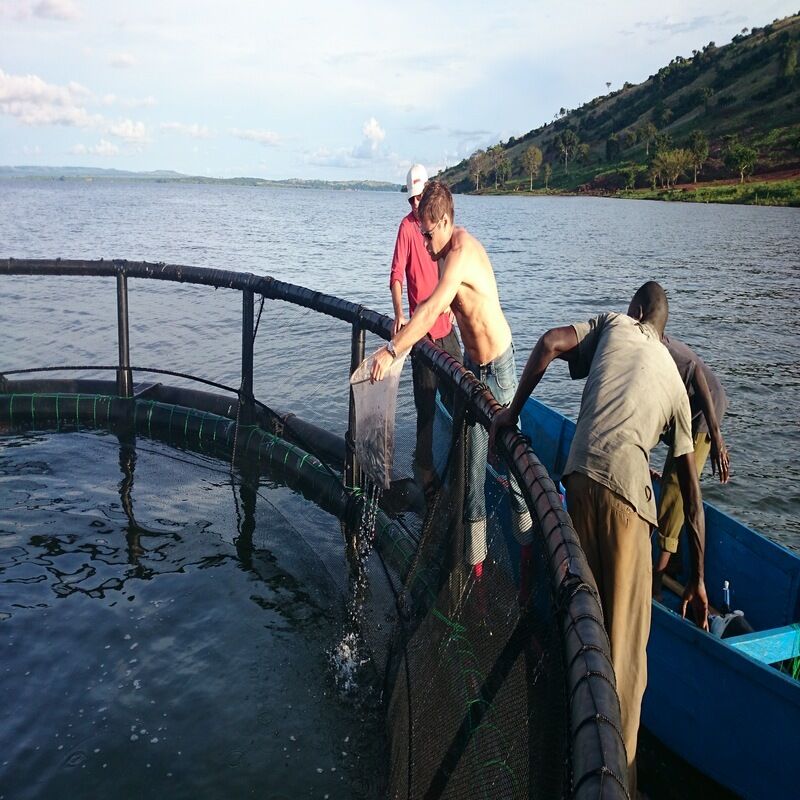 Large-Volume HDPE Circular Fish Cage, Standard Equipment for Commercial Marine Fish Farm