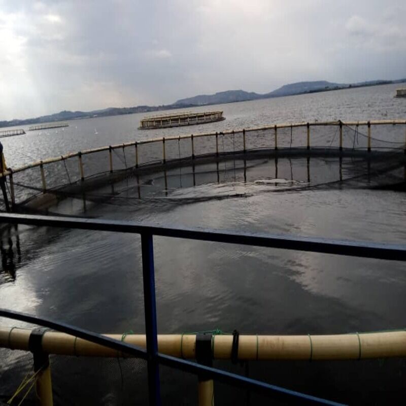 HDPE Cages for African Freshwater Lakes | Ideal for Lake Victoria & Lake Tanganyika Tilapia Farming