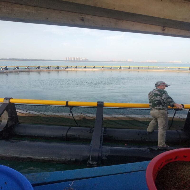 Cage + Anchoring + Netting + Feeder | Complete Aquaculture Equipment One-Stop Supply