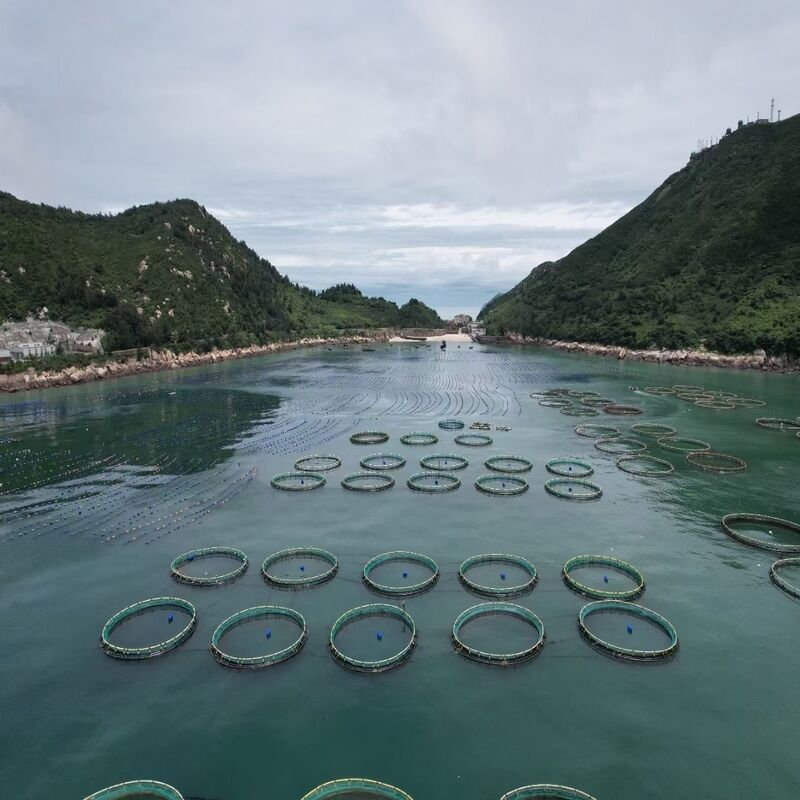 Replace Steel/Wooden Cages | HDPE Corrosion Resistant | 3× Longer Lifespan