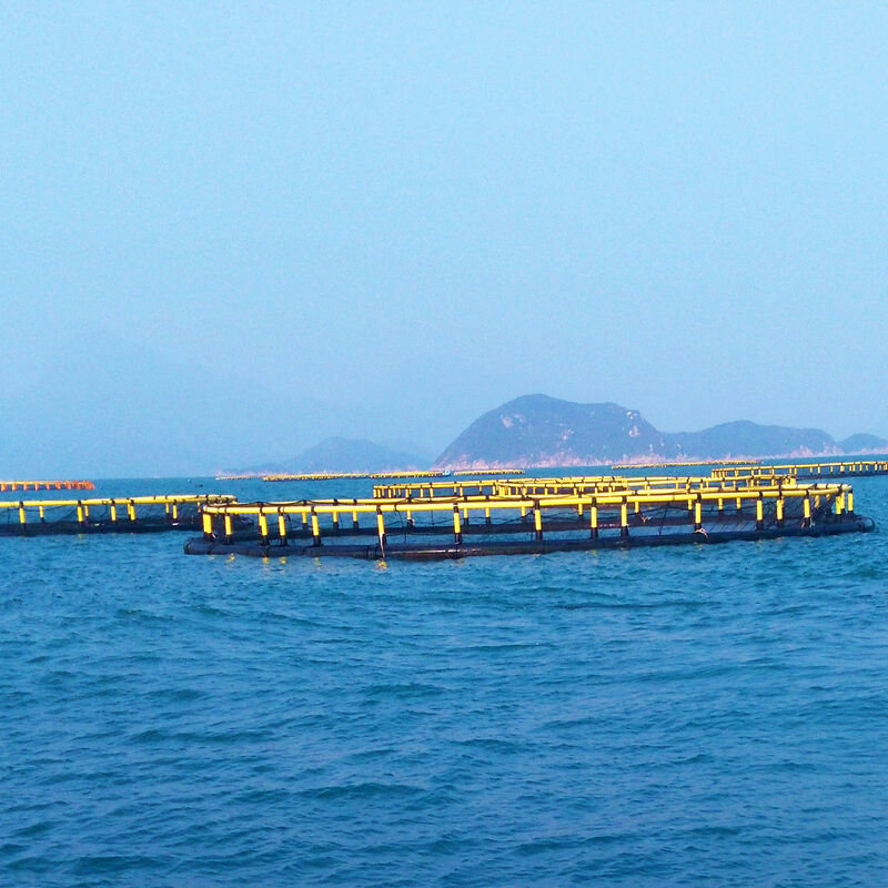 Multiple Mesh Sizes Available | Fits Tilapia, Grouper, Catfish, Shrimp & More
