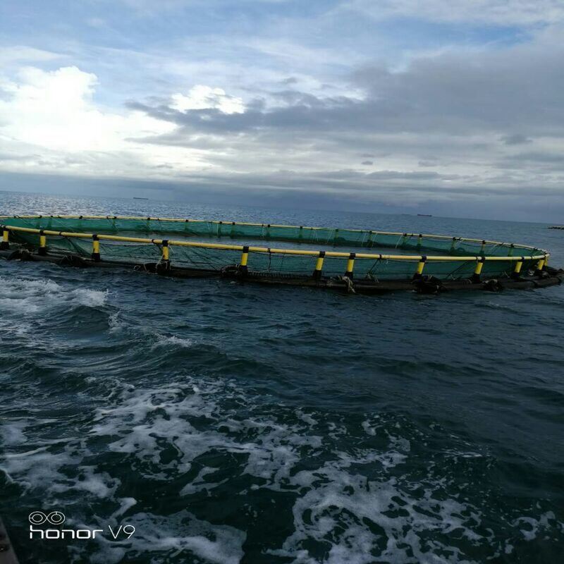 HDPE Cages for Tropical Deep Lakes | Ideal for Lake Tanganyika & Lake Victoria | Heat & UV Resistant