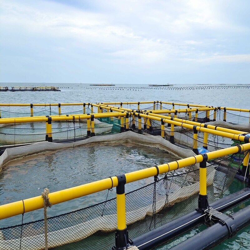 Fry Nursing HDPE Fish Cages | Fine Mesh Anti-Escape | 30% Higher Survival Rate