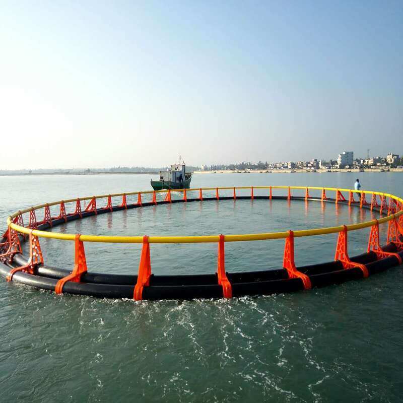 Typhoon-Resistant HDPE Cages | Extra-Thick Frame + Heavy Mooring | Withstands Level-12 Storms