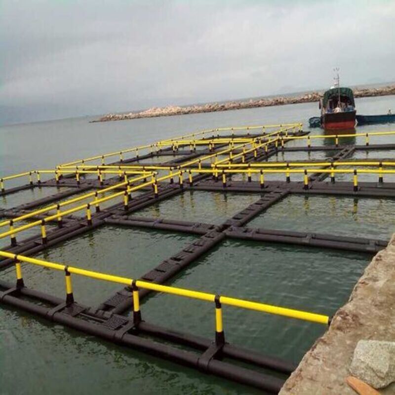 Modular HDPE Cage Raft System | Free Combination & Splicing | Scale Up On Demand