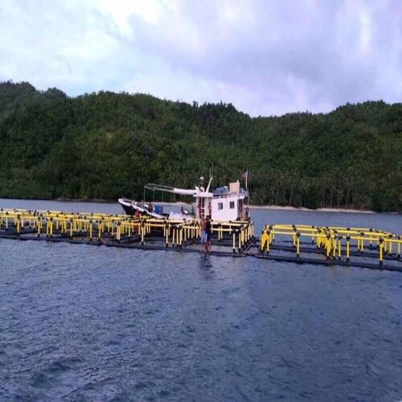 Modular HDPE Cage Raft System | Free Combination & Splicing | Scale Up On Demand
