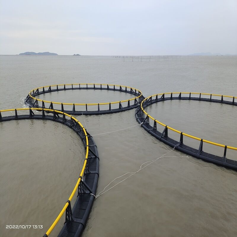 Export-Grade HDPE Aquaculture Cages | ISO & SGS Certified | Trusted by 50+ Countries