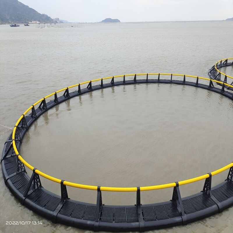 Shrimp Farming HDPE Cages | Anti-Escape Bottom Net Design | For Vannamei & Tiger Shrimp