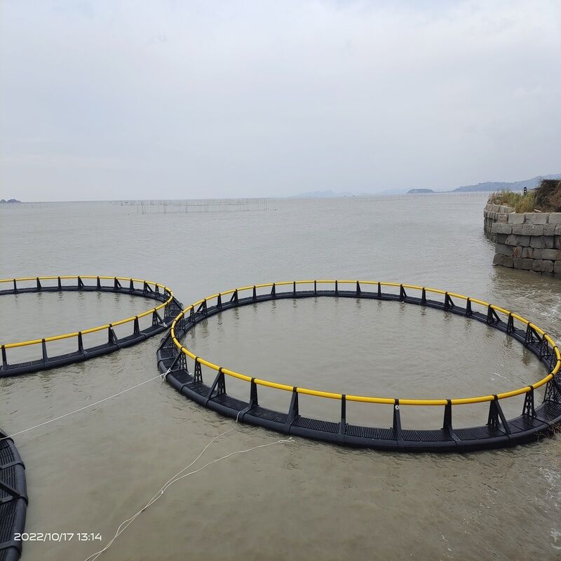 Shrimp Farming HDPE Cages | Anti-Escape Bottom Net Design | For Vannamei & Tiger Shrimp