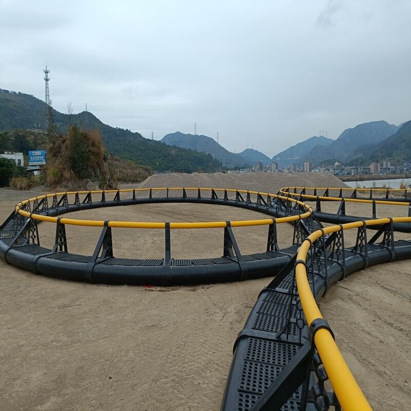 Shrimp Farming HDPE Cages | Anti-Escape Bottom Net Design | For Vannamei & Tiger Shrimp