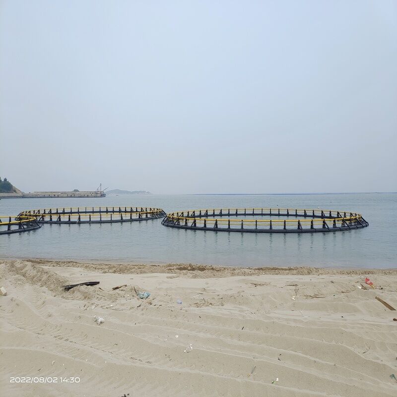 HDPE Cages for Inland Reservoirs & Ponds | Small-Scale Freshwater Farming | Flexible & Low-Cost