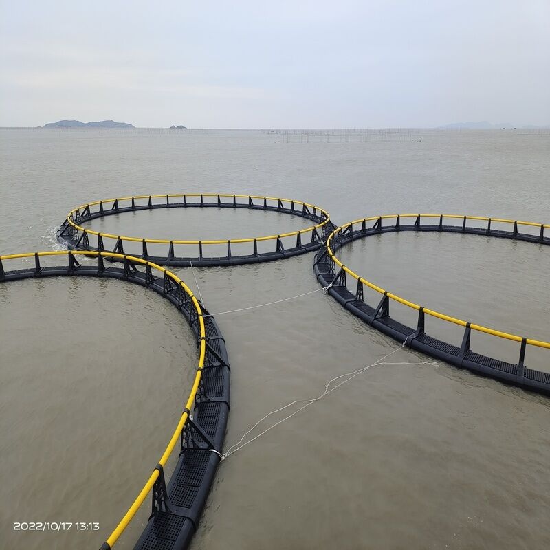 HDPE Cages for Inland Reservoirs & Ponds | Small-Scale Freshwater Farming | Flexible & Low-Cost