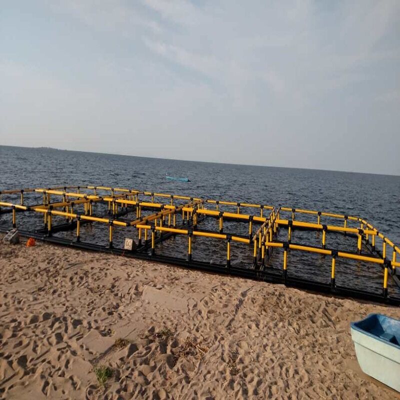 Live Fish Holding & Grading Cages | Pre-Sale Storage / Size Sorting / Quarantine | Flexible & Efficient