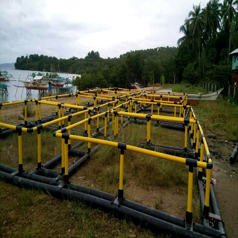 Live Fish Holding & Grading Cages | Pre-Sale Storage / Size Sorting / Quarantine | Flexible & Efficient