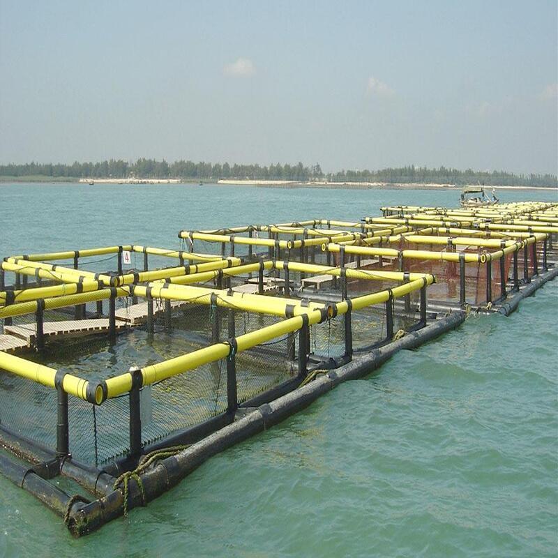 Live Fish Holding & Grading Cages | Pre-Sale Storage / Size Sorting / Quarantine | Flexible & Efficient