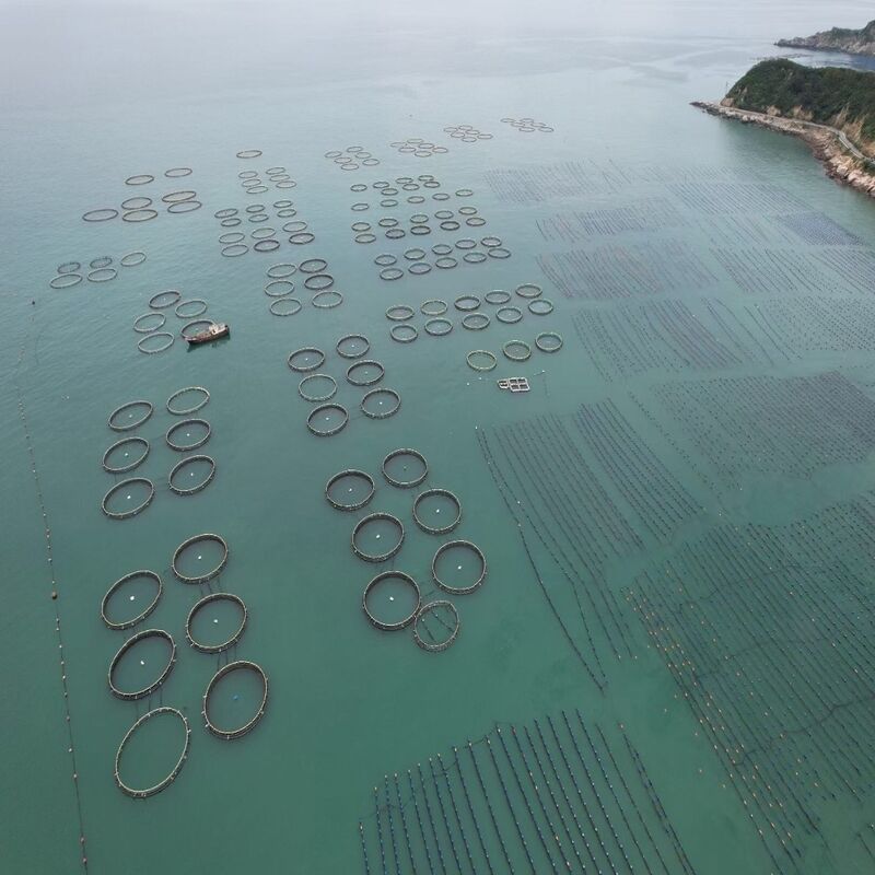 Smart Aquaculture Cage System | Real-Time DO/Water Temp/pH Monitoring | Remote Management