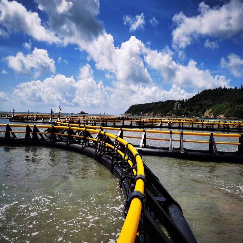 Smart Aquaculture Cage System | Real-Time DO/Water Temp/pH Monitoring | Remote Management