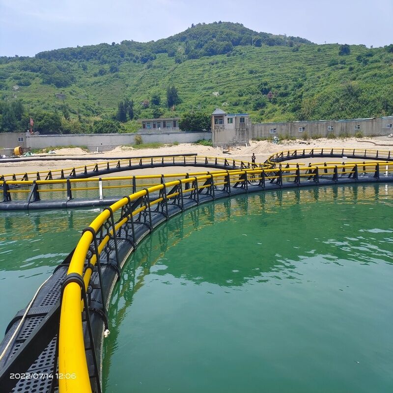 Smart Aquaculture Cage System | Real-Time DO/Water Temp/pH Monitoring | Remote Management