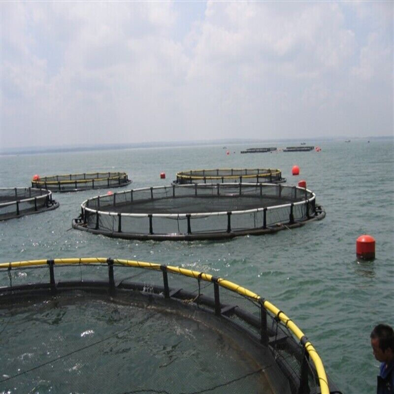 Government Fishery Project HDPE Cages | Meets Tender Standards | Complete Qualification Documents