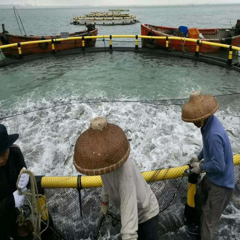 Government Fishery Project HDPE Cages | Meets Tender Standards | Complete Qualification Documents