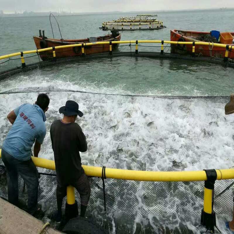 Government Fishery Project HDPE Cages | Meets Tender Standards | Complete Qualification Documents
