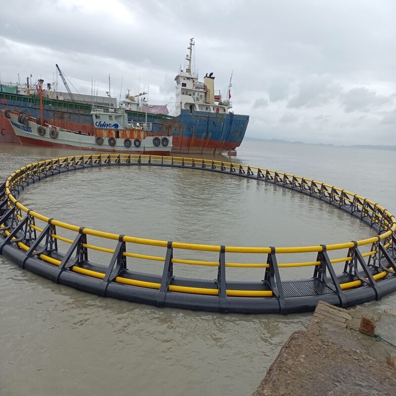 HDPE Fish Cages for Brackish Estuaries | Salt Corrosion & Silt Resistant, Suitable for Lagoon & Estuary Farming