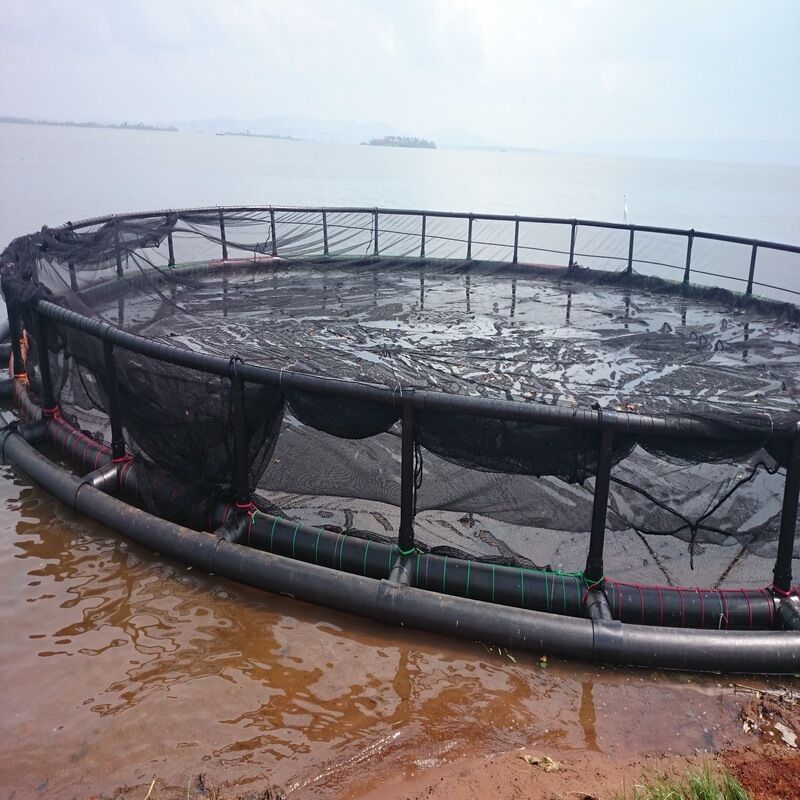 HDPE Fish Cages for Brackish Estuaries | Salt Corrosion & Silt Resistant, Suitable for Lagoon & Estuary Farming