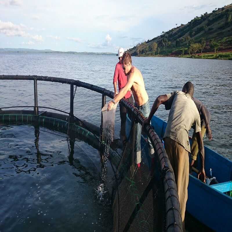 HDPE Fish Cages for Brackish Estuaries | Salt Corrosion & Silt Resistant, Suitable for Lagoon & Estuary Farming