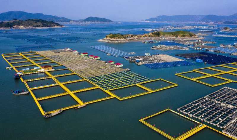 Two‑in‑One HDPE Fish Cage: Aquaculture + Recreational Fishing