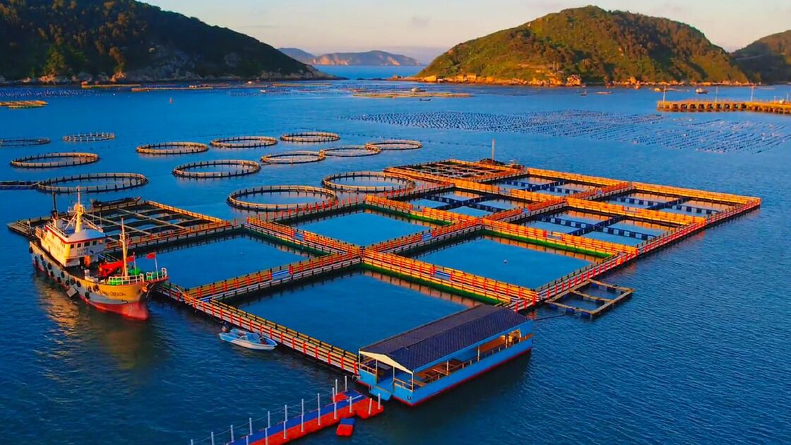 Two‑in‑One HDPE Fish Cage: Aquaculture + Recreational Fishing