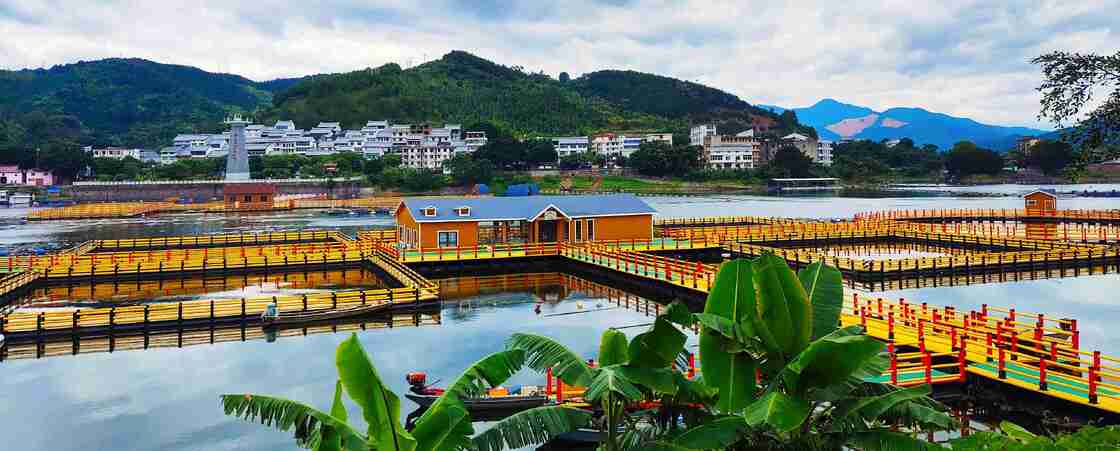 Two‑in‑One HDPE Fish Cage: Aquaculture + Recreational Fishing