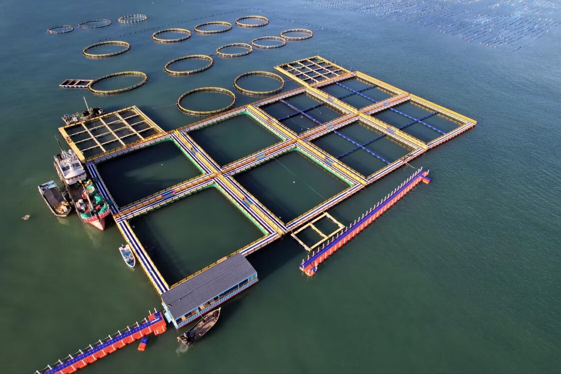 Multifunctional HDPE Fish Cage: For Commercial Farming & Recreational Angling