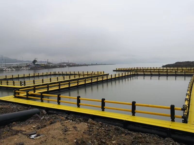 Curious about HDPE floating fish cage? Learn about its main benefits and farming capacity
