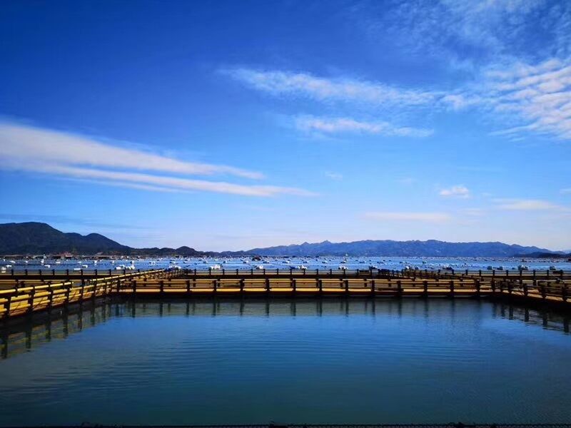Curious about HDPE floating fish cage? Learn about its main benefits and farming capacity