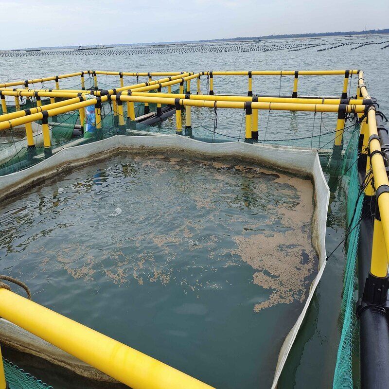 Square HDPE Fish Cage Resistant to Water‑Level Fluctuation