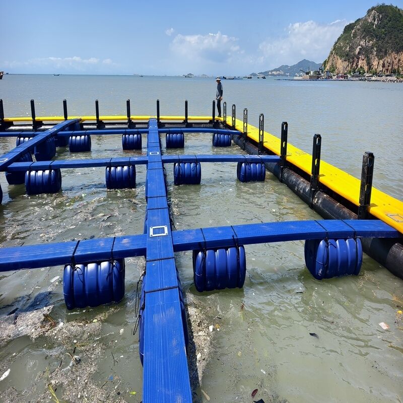 Cost‑Effective Modular Combined Fish Raft Cage