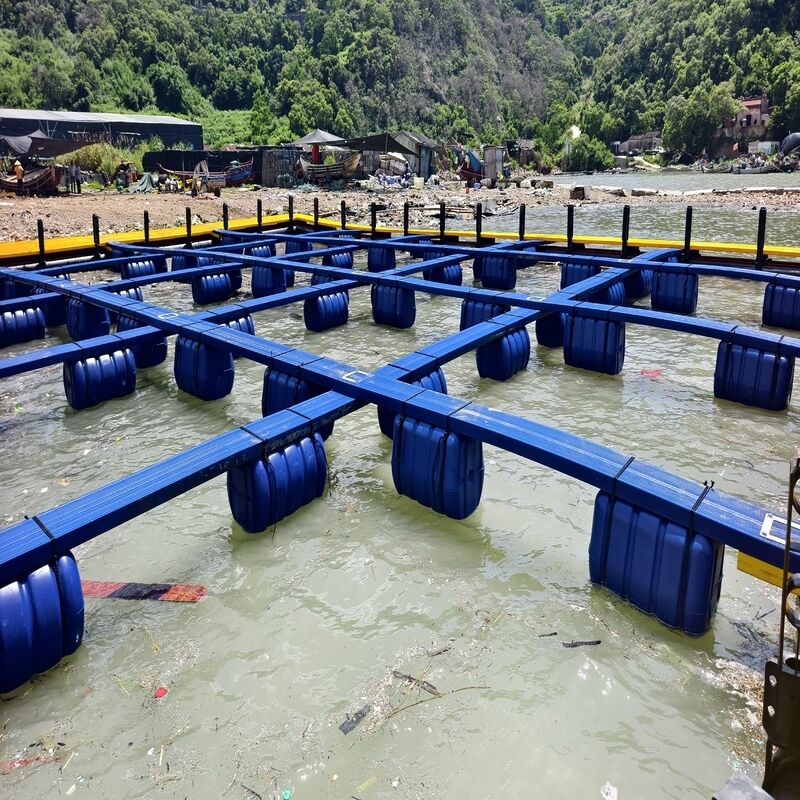 Cost‑Effective Modular Combined Fish Raft Cage