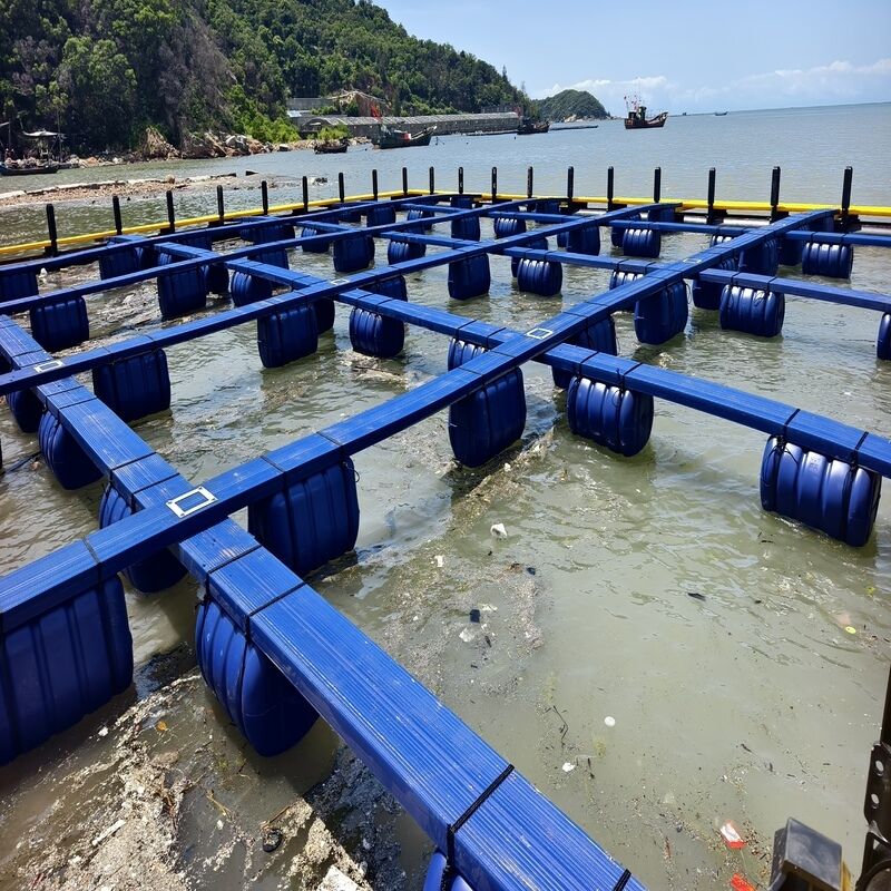 Cost‑Effective Modular Combined Fish Raft Cage
