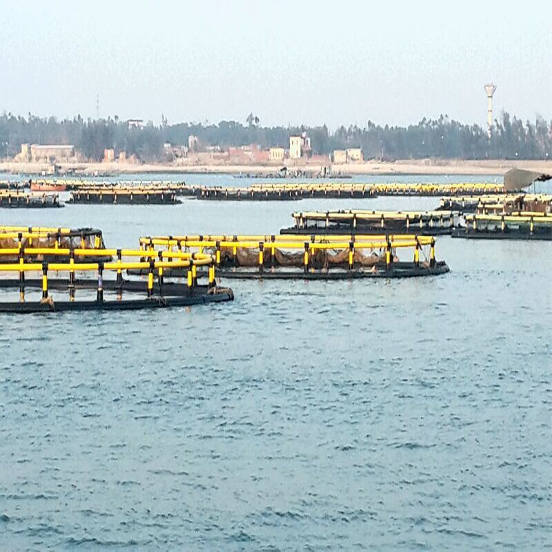 High Water‑Exchange Circular HDPE Deep‑Water Fish Cage