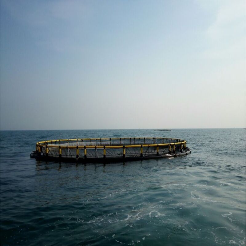 High Water‑Exchange Circular HDPE Deep‑Water Fish Cage