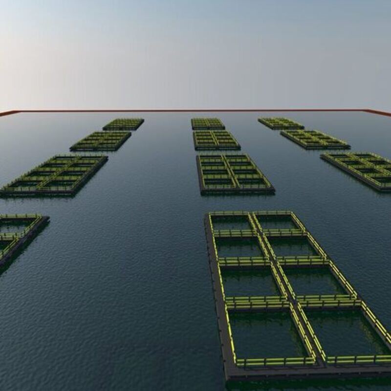 Simplified Small‑Scale Commercial Aquaculture Fish Cage