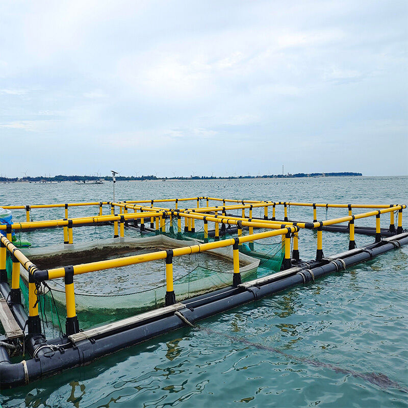 Simplified Small‑Scale Commercial Aquaculture Fish Cage