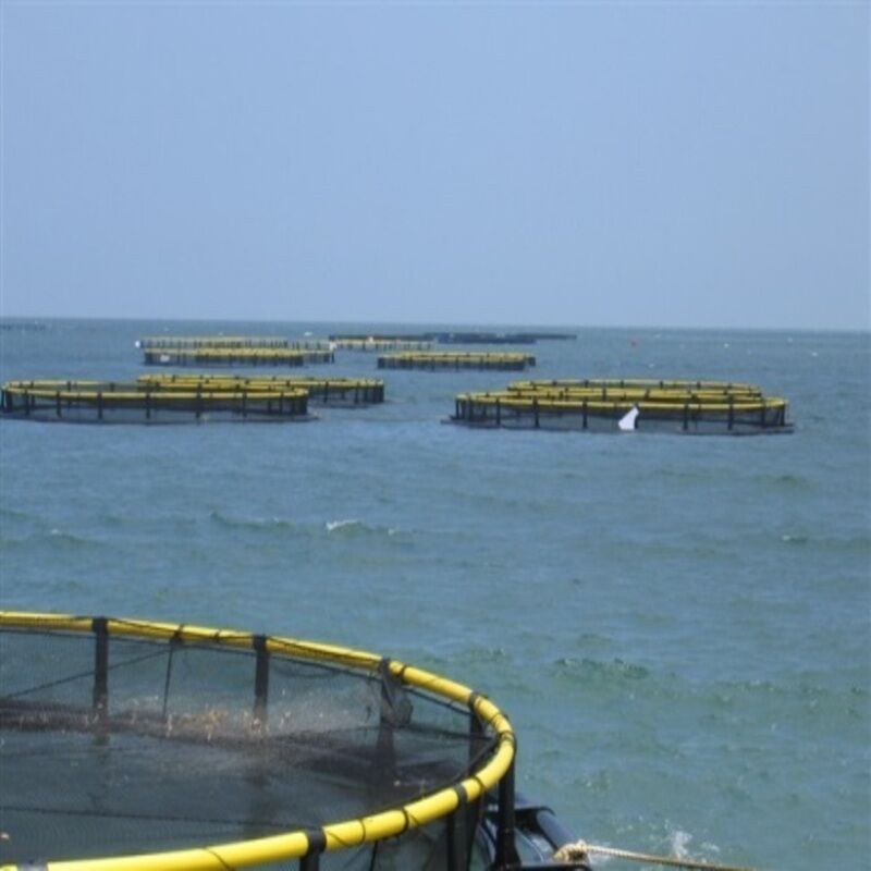 HDPE Fish Cage System with Reinforced Mooring Kit