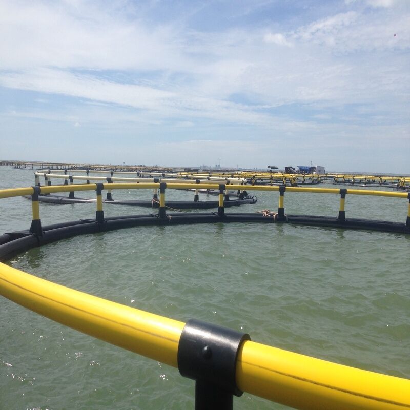 HDPE Fish Cage System with Reinforced Mooring Kit