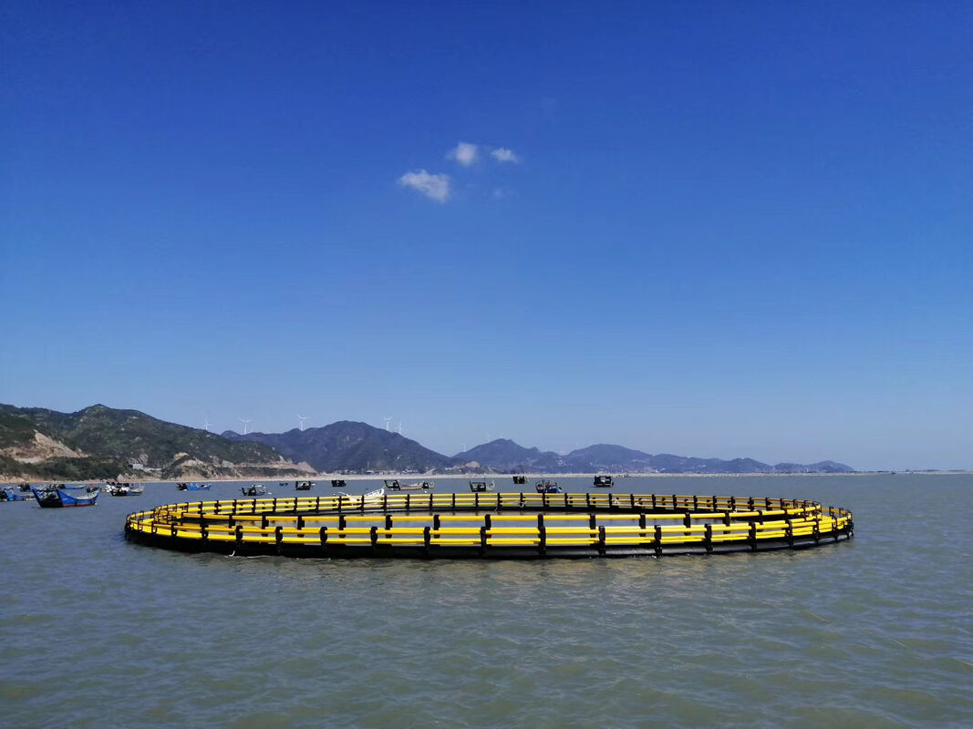 Work smarter, not harder. Scale your biomass the professional way-an HDPE Fish Cage is an efficient asset, not a daily chore.