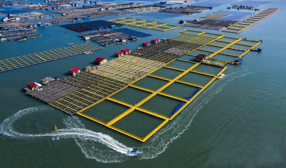 Maximize your harvest and minimize your overhead with our high-yield HDPE Fish Cages