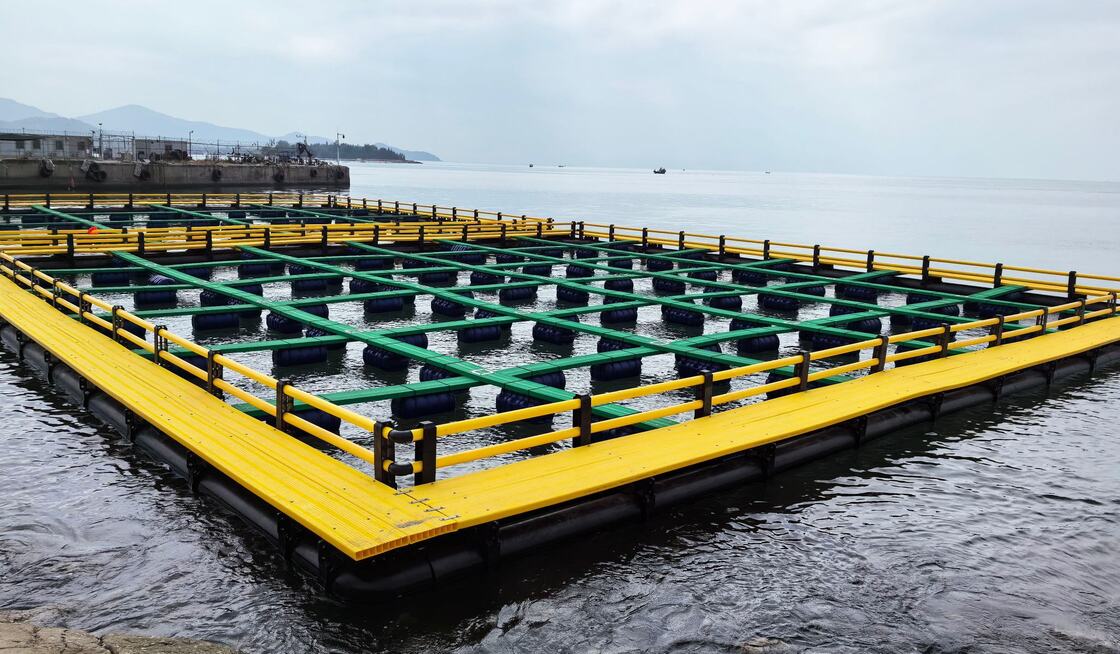 Say goodbye to makeshift structures—scale your biomass with our precision-engineered HDPE Fish Cage system
